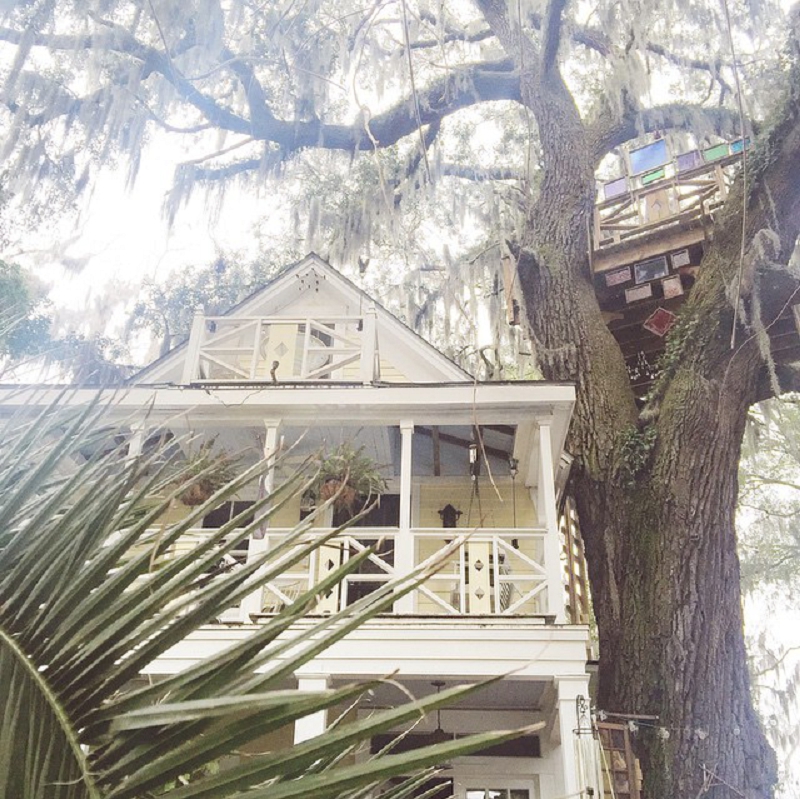 diamond oaks tree house 1